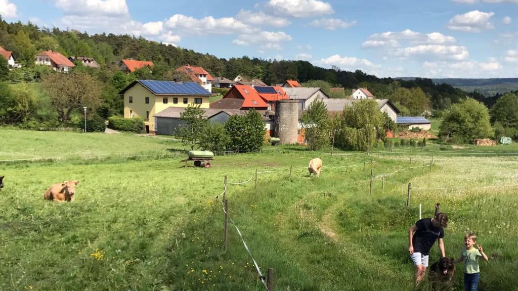 Ferienwohnungen Elsbacher Hof Erbach  Bagian luar foto